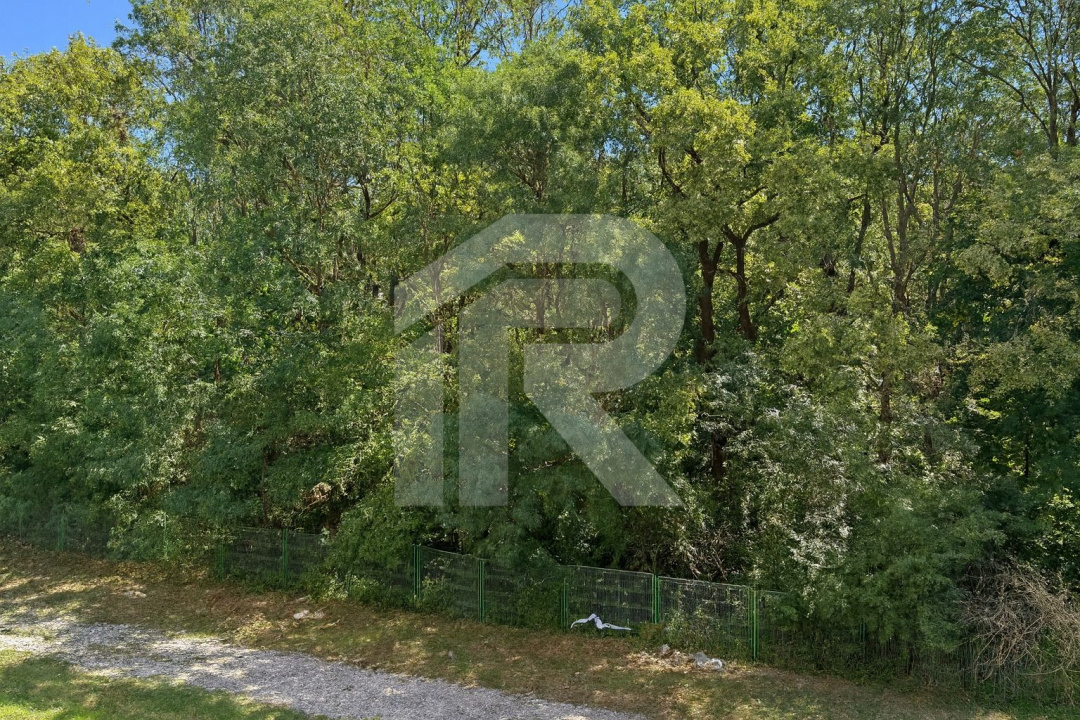 Apartament premium cu vedere integrală la Padurea Baneasa - Panoramic